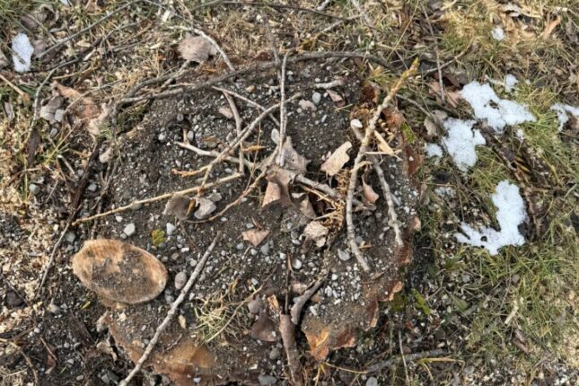 featured-image-723367