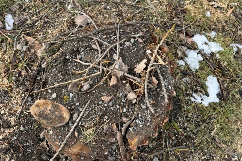 featured-image-723367