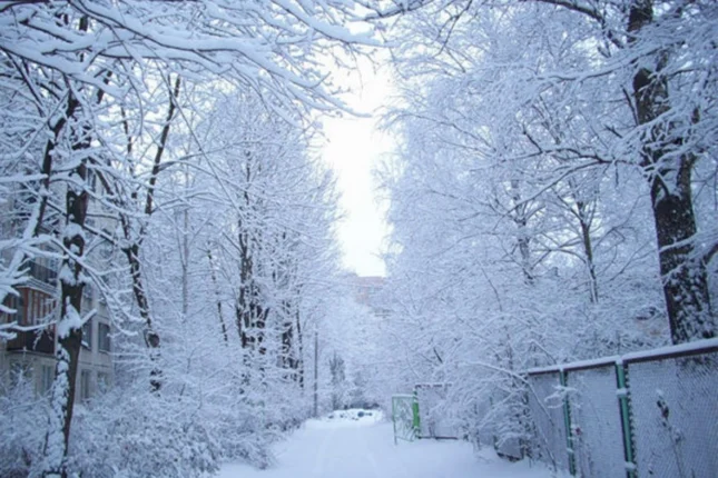 featured-image-723437