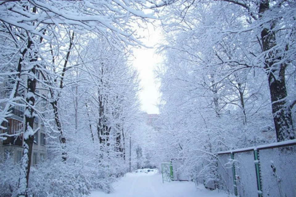 featured-image-723437