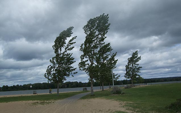 featured-image-723625