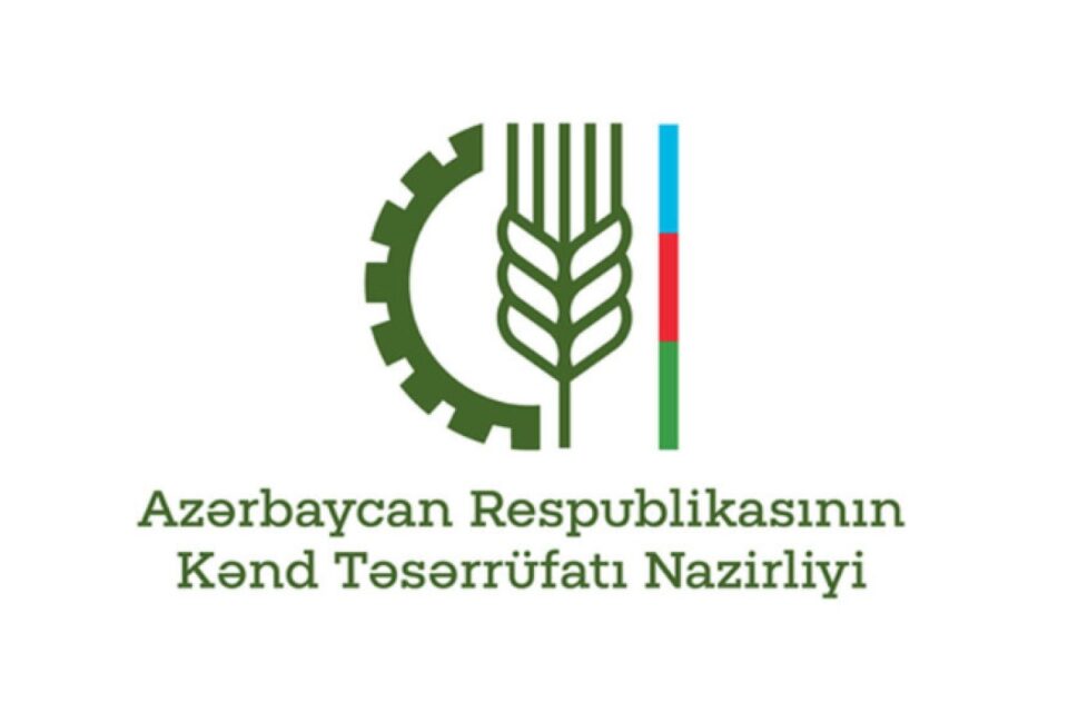 featured-image-725023