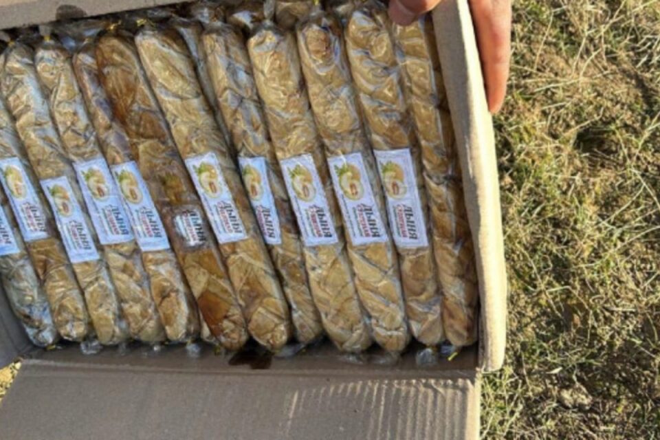 featured-image-725170