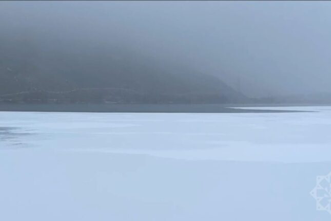 featured-image-725185