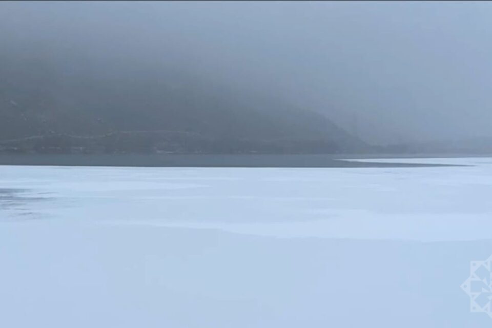 featured-image-725185