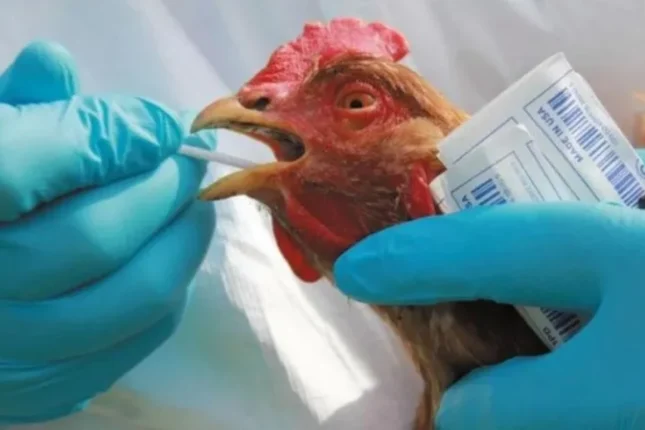 featured-image-725201