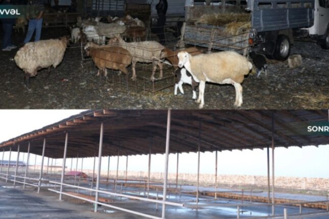 featured-image-725664