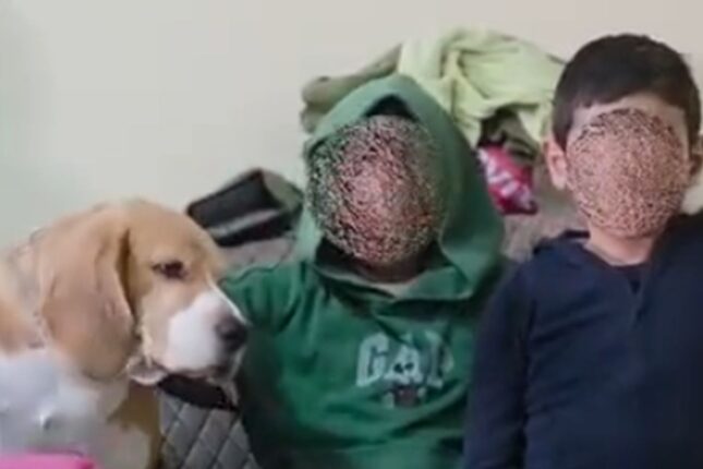 featured-image-725090