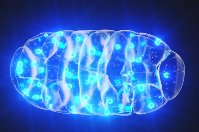 featured-image-720416