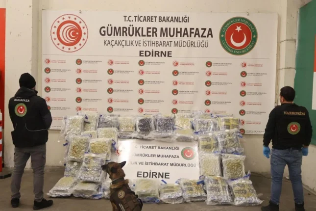 featured-image-723542