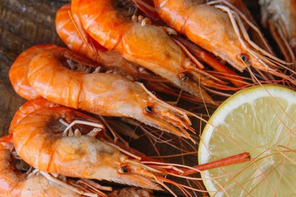 featured-image-724967