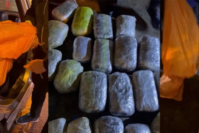 featured-image-724245