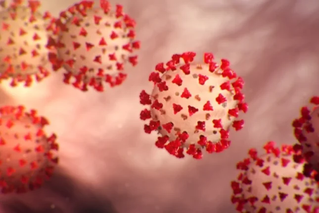 featured-image-725549