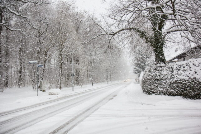 featured-image-723176