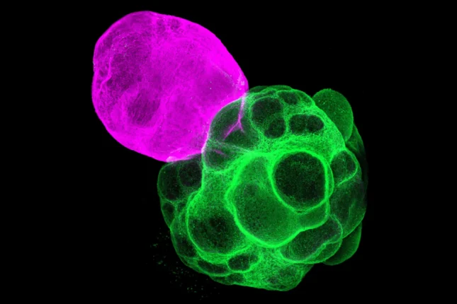 featured-image-720963