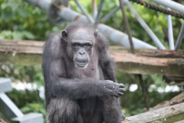 featured-image-722072