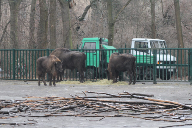 featured-image-725789