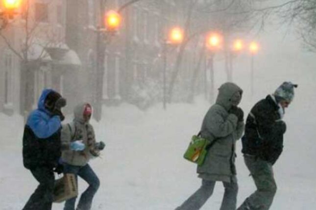 featured-image-726778