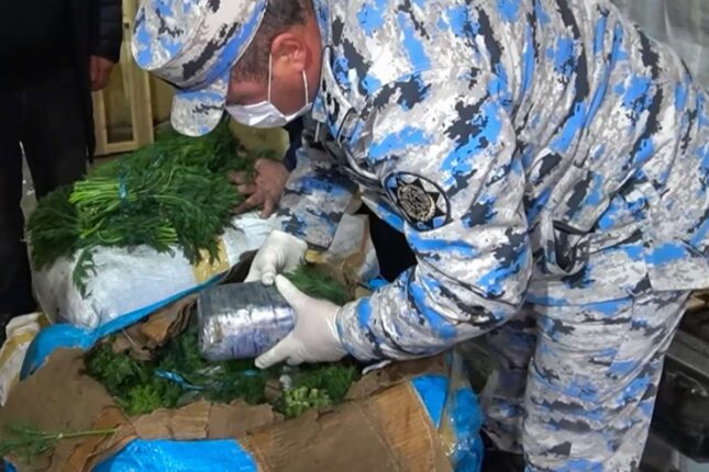 featured-image-727203