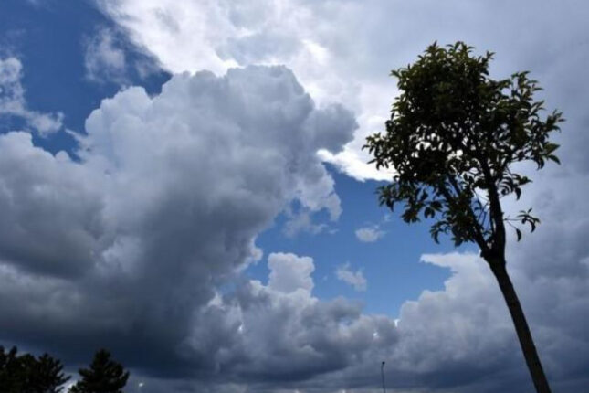 featured-image-727661