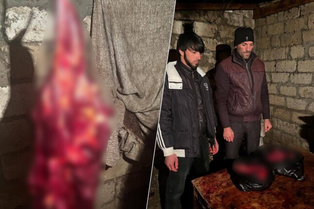 featured-image-727737