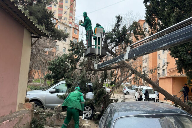 featured-image-726762