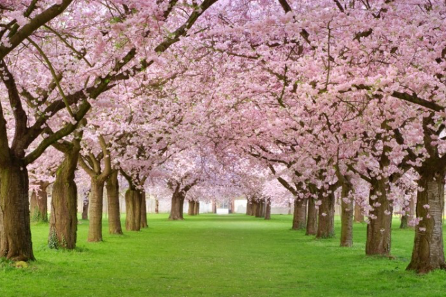 featured-image-727490