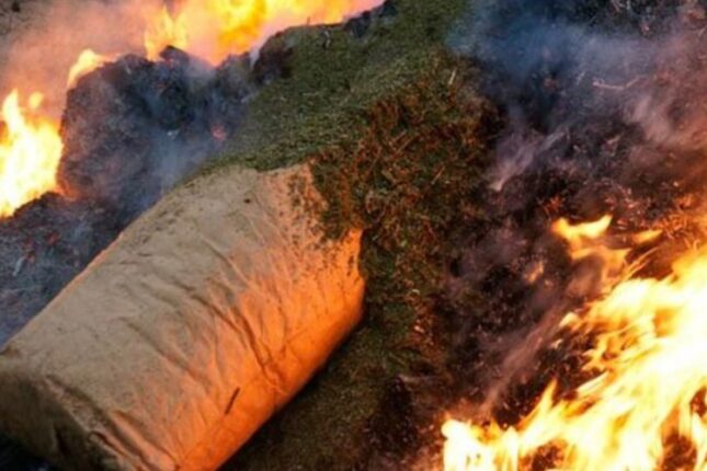 featured-image-726999