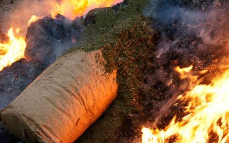 featured-image-726999