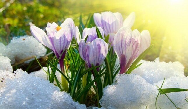 featured-image-728466