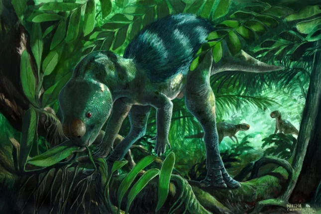 featured-image-726652