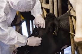 featured-image-726910