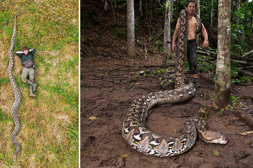 featured-image-727442