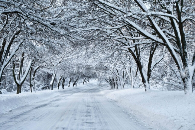 featured-image-726948