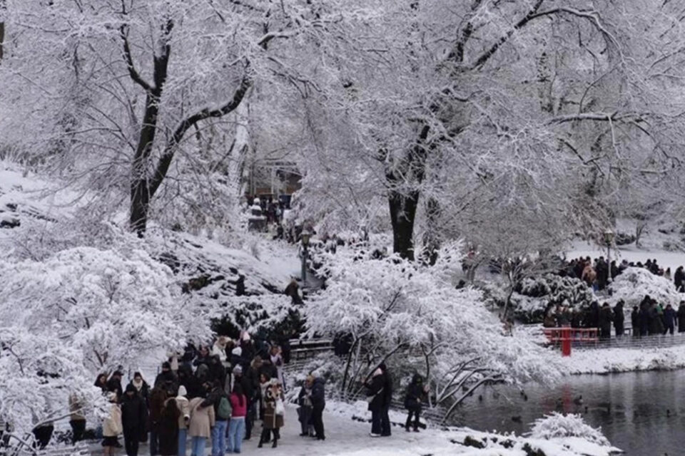 featured-image-728418