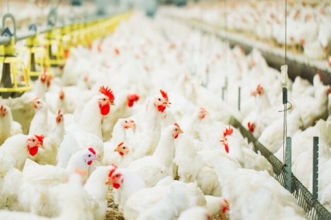 featured-image-728069