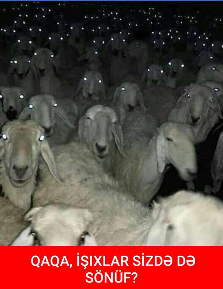 İşıqların sönməsi ilə bağlı gülməli postlar – FOTO